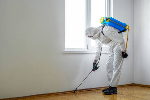 Best Real Estate Pest Inspections  in Brewster, WA